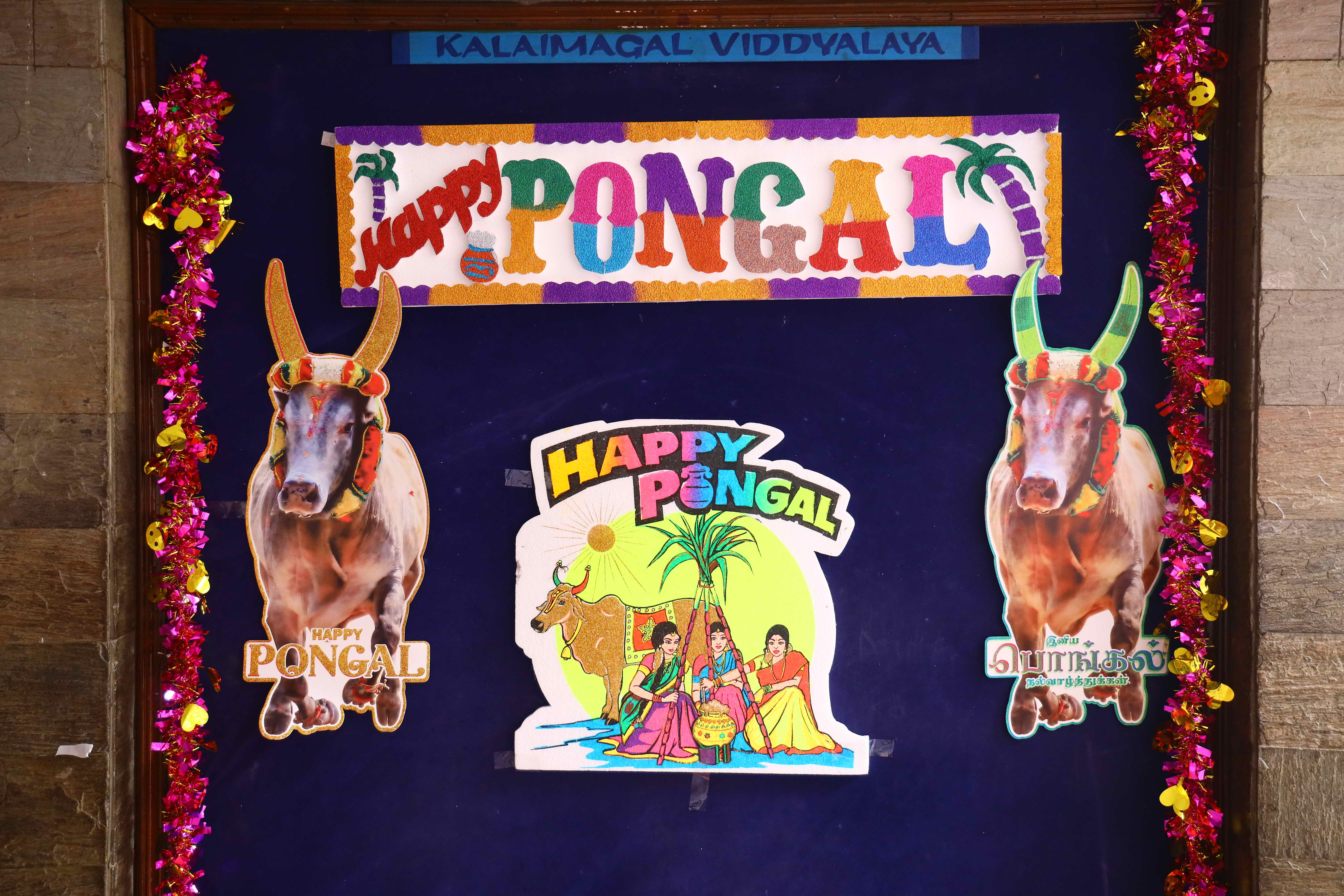 Pongal Celebration 2026